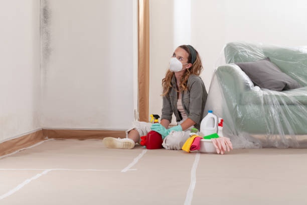 Reliable Basement Mold Remediation contractor in De Kalb, TX by 24 Hour Mold Removal